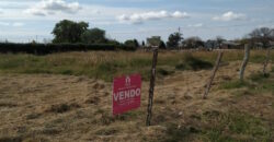 AMPLIO TERRENO